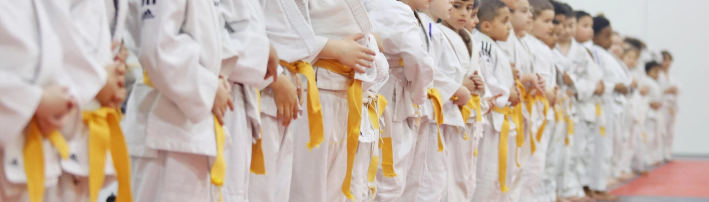 découvrez nos entraînements d'arts martiaux adaptés à tous les âges, pour développer force, discipline et confiance en soi dans un environnement convivial et sécurisé.
