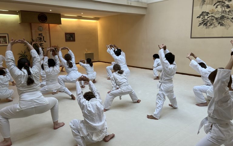 découvrez notre programme d'entraînement martial adapté à tous les âges, alliant techniques, discipline et bien-être pour toute la famille.