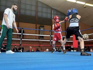 le wbc annonce sa décision finale concernant le combat entre usyk et verhoeven, assurant une conclusion officielle à cet affrontement très attendu.